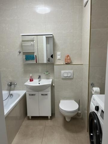 Apartament Garbary 234 Parking Free Poznań Kültér fotó